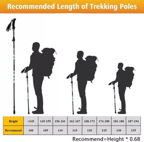 Sans marque Nordic Walking Poles - Foldable Carbon Trekking Poles - Nordic Walking Caps - Hiking Poles - Adjustable & Foldable - Retractable - Telescopic - Hiking Accessories - Ergonomic & Lightweight - 130 cm - Black & Green (8785306395891)