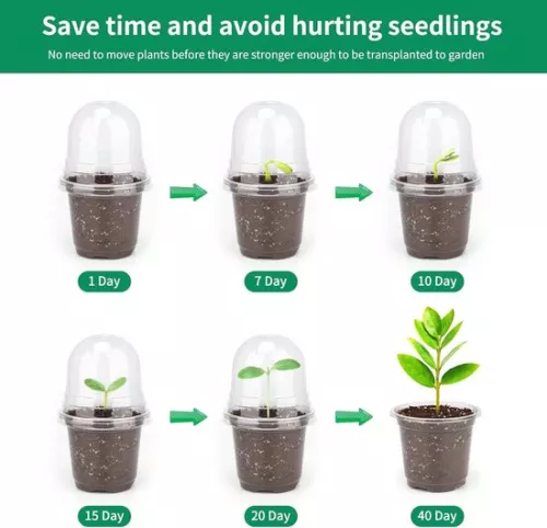 merkloos Allecto Plus - 32 pcs small plastic plant pots with dome lid for seeds and seedlings - Including 10 pcs plant plugs (6154155361364)